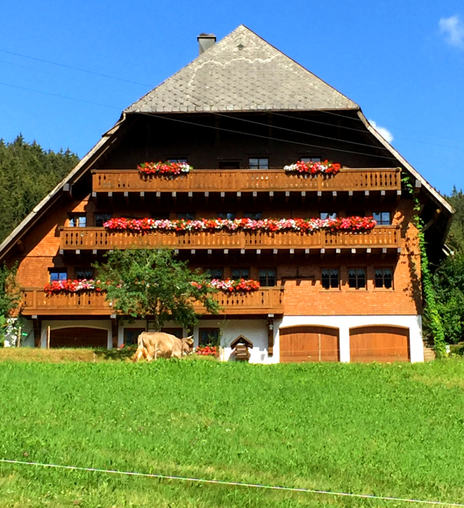 Schwarzwaldidylle im Hochschwarzwald bei Furtwangen